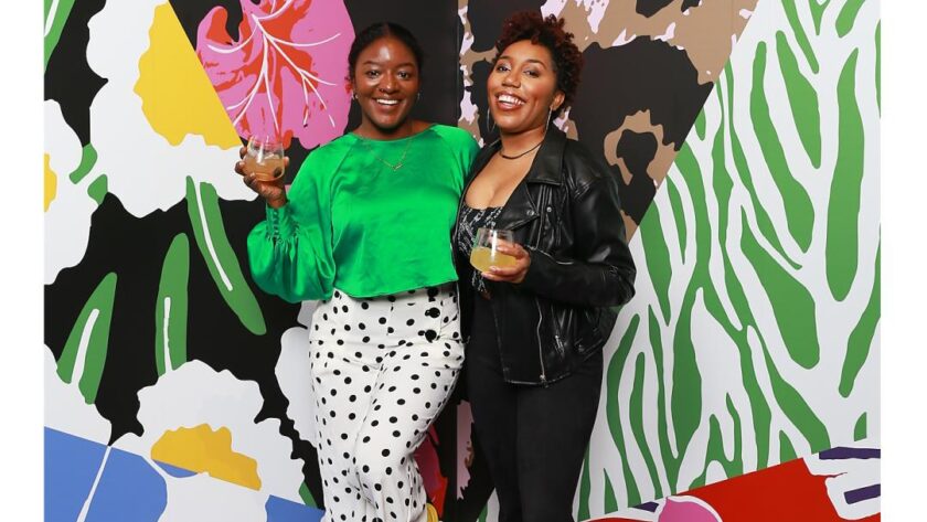 zMy VIP Experience at the Diane Von Furstenberg for Target Event